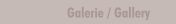 Galerie / Gallery